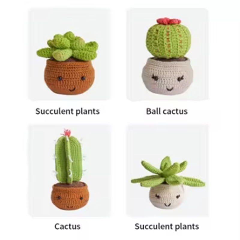 4 pcs Plants Crochet Kit for Beginners DIY Knitting Cactus Family Decoration with Video Tutorials Weaving Materials Tools Set