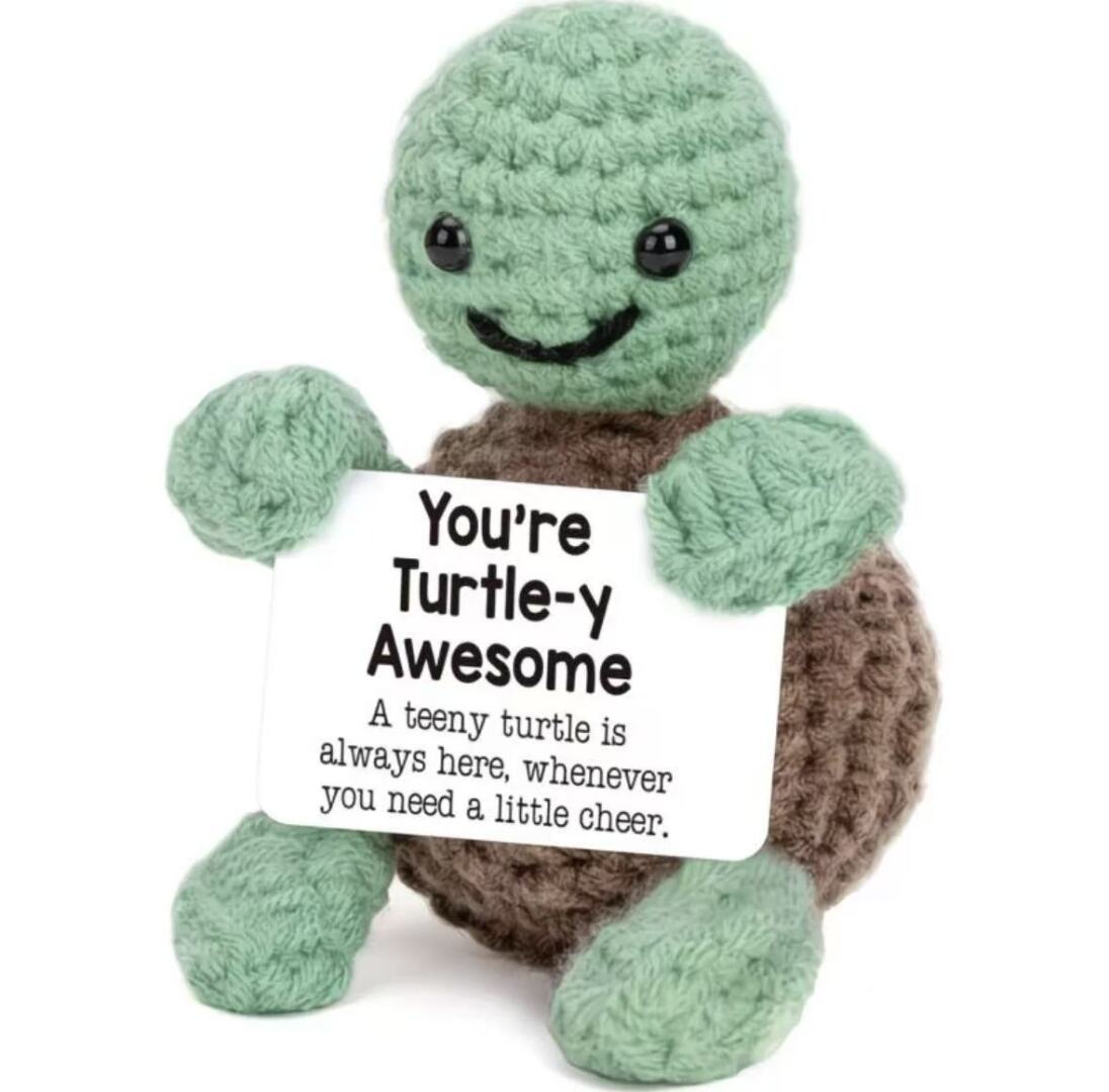 Positive Turtle Crochet Plush