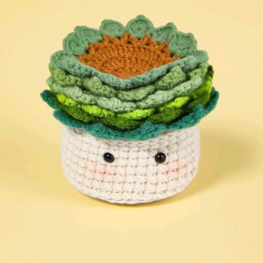 Crochet Coffee Coaster Kit for Beginners Handmade Decor