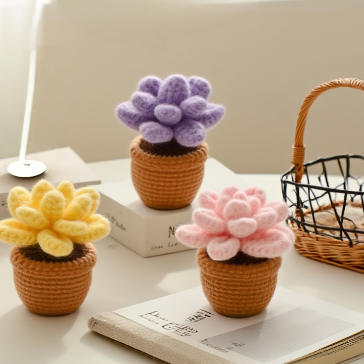 Succulent Crochet Plant Set