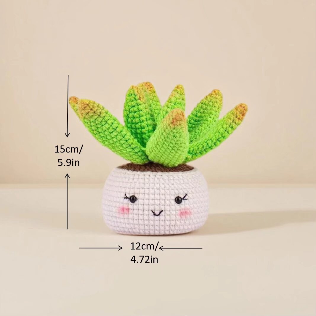 Nordic Succulent Crochet Set