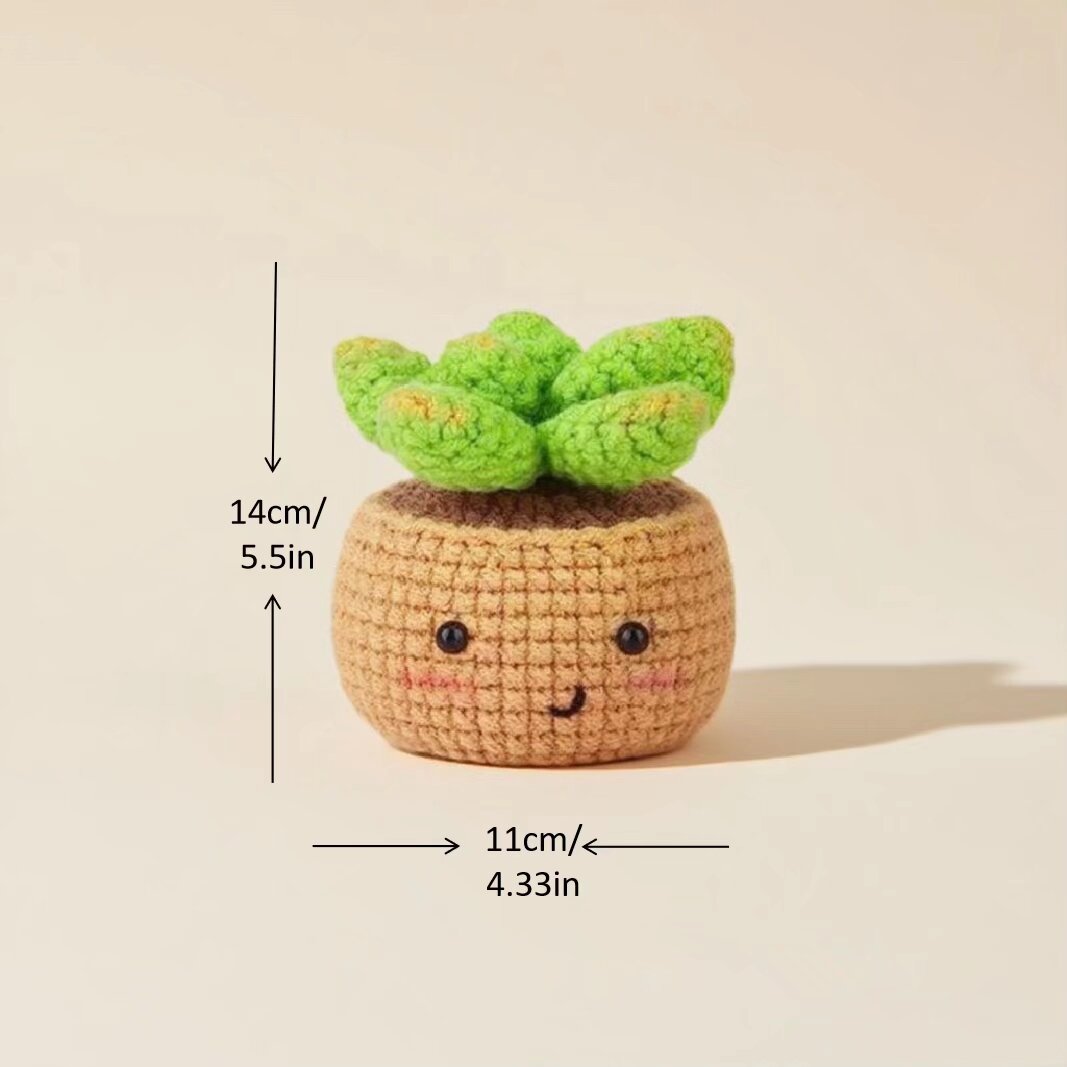 Nordic Succulent Crochet Set