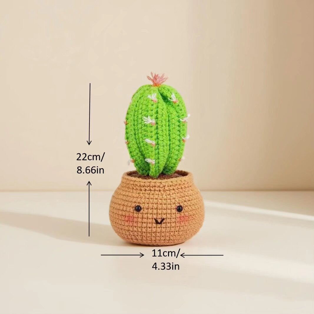 Nordic Succulent Crochet Set