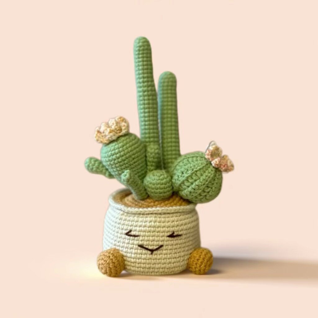 Cactus Crochet Kit with Pot
